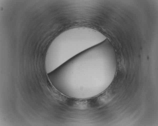 X0000068770606200604281019