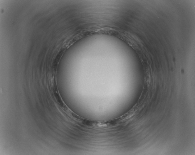 X0000068770607200604281019