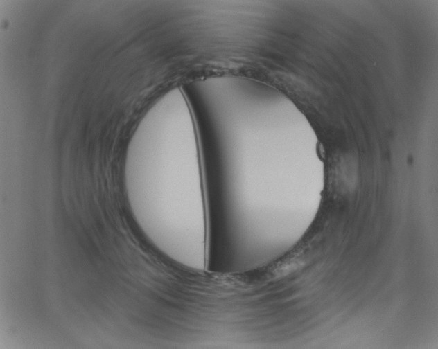 X0000068770608200604281019