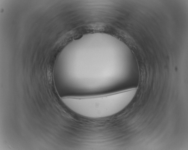 X0000068770609200604281019