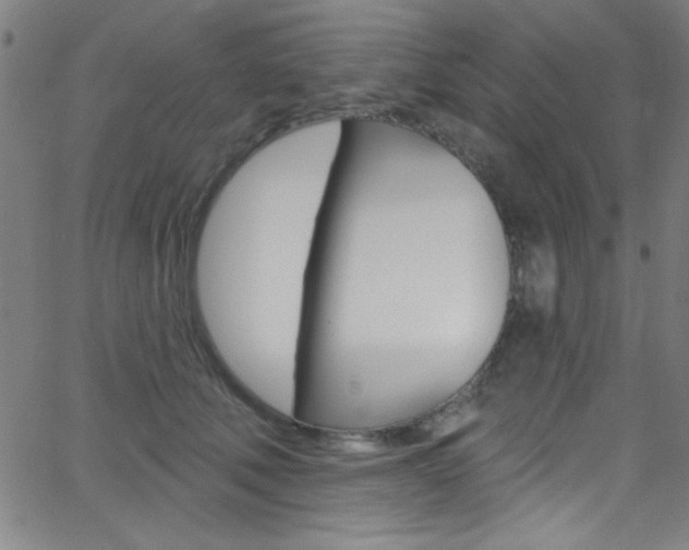 X0000068770610200604281019