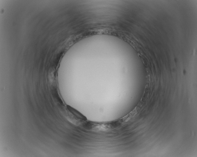 X0000068770611200604281019