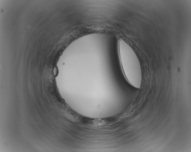 X0000068770612200604281019