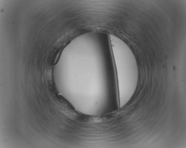 X0000068770613200604281019