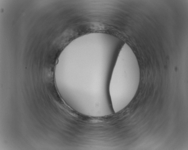 X0000068770614200604281019