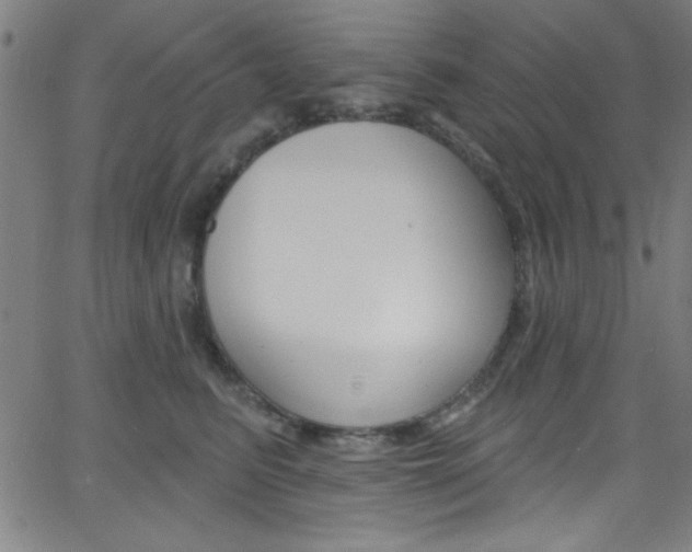 X0000068770615200604281019