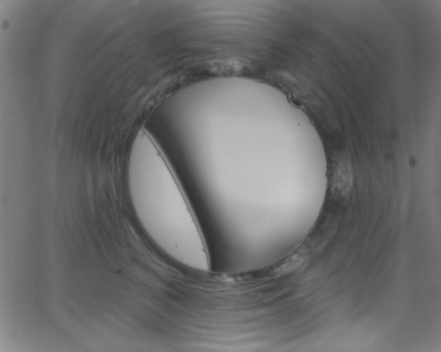 X0000068770616200604281019