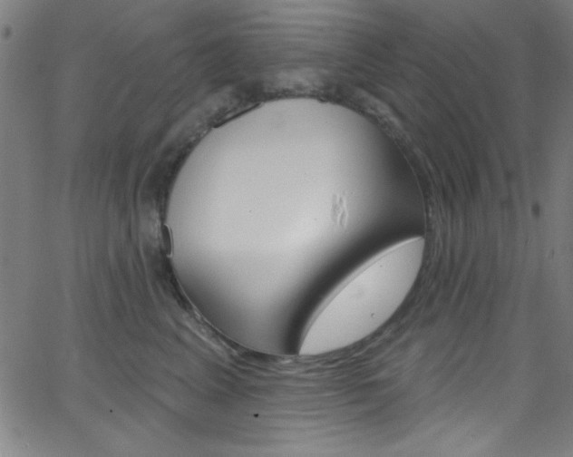 X0000068770617200604281019