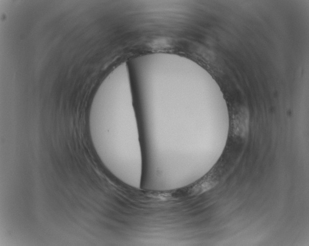 X0000068770618200604281019