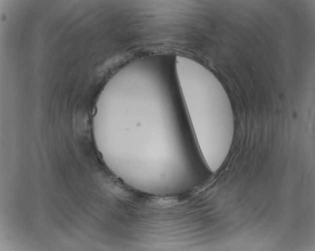 X0000068770619200604281019