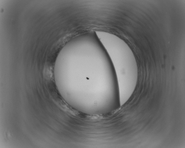 X0000068770621200604281019