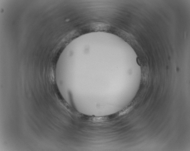 X0000068770622200604281019