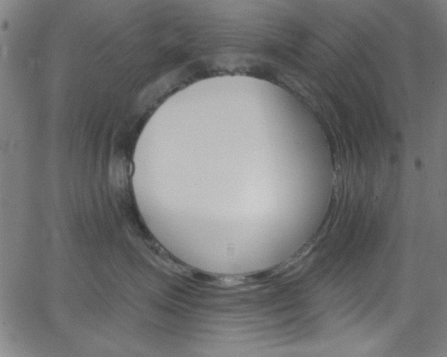 X0000068770623200604281019