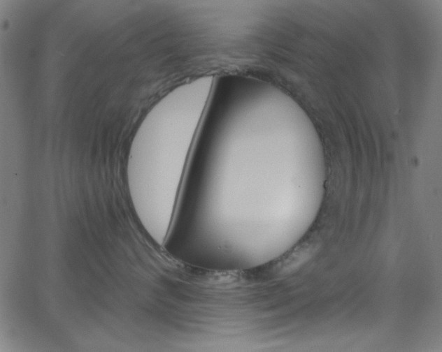 X0000068770624200604281019