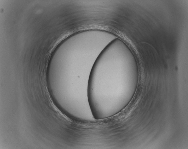 X0000068770625200604281018