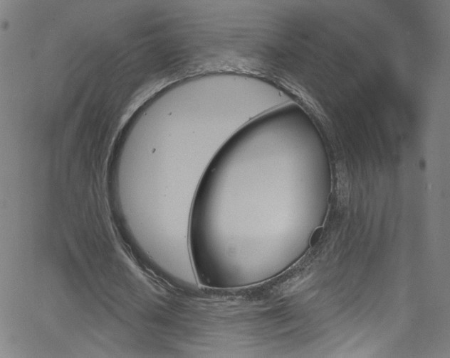 X0000068770626200604281018