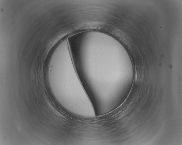 X0000068770627200604281018