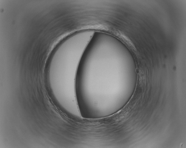 X0000068770628200604281018