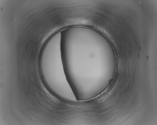 X0000068770629200604281018