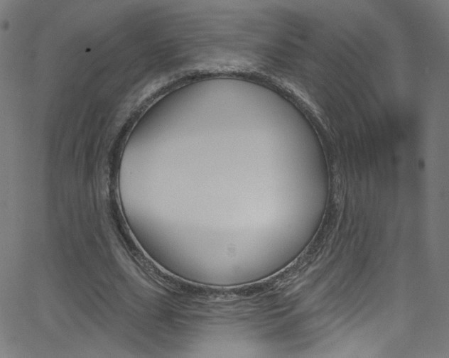 X0000068770631200604281019