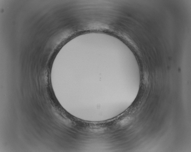 X0000068770632200604281019