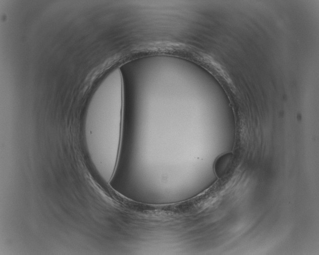 X0000068770633200604281019