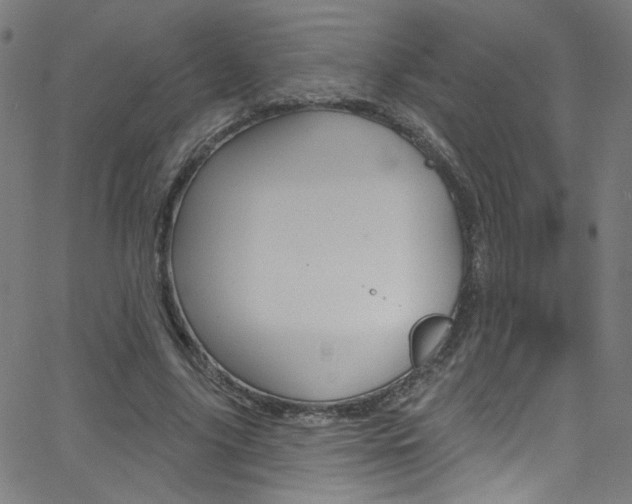 X0000068770635200604281019