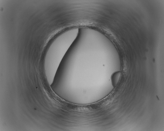 X0000068770636200604281019