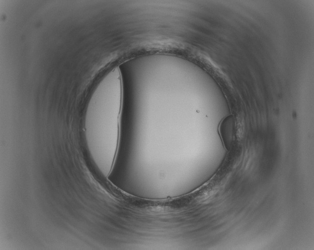 X0000068770637200604281019