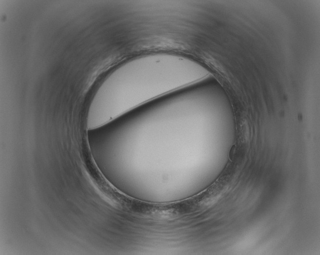 X0000068770638200604281019