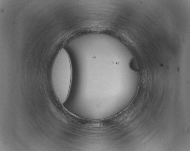 X0000068770639200604281019