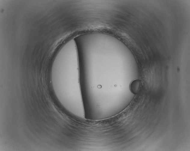 X0000068770640200604281019