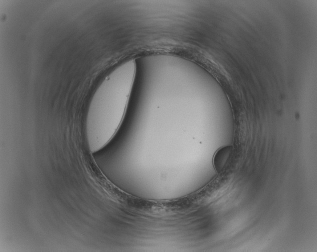 X0000068770641200604281019