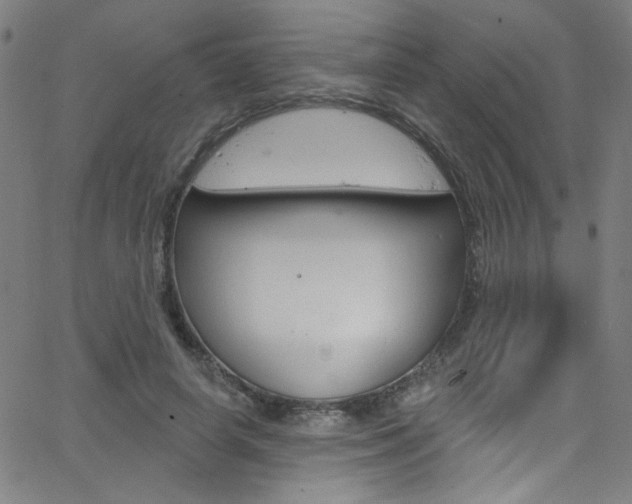 X0000068770642200604281019