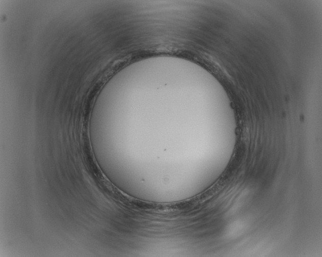 X0000068770643200604281019