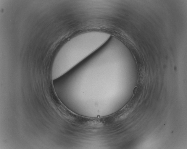 X0000068770644200604281019