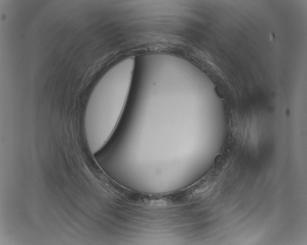 X0000068770645200604281019