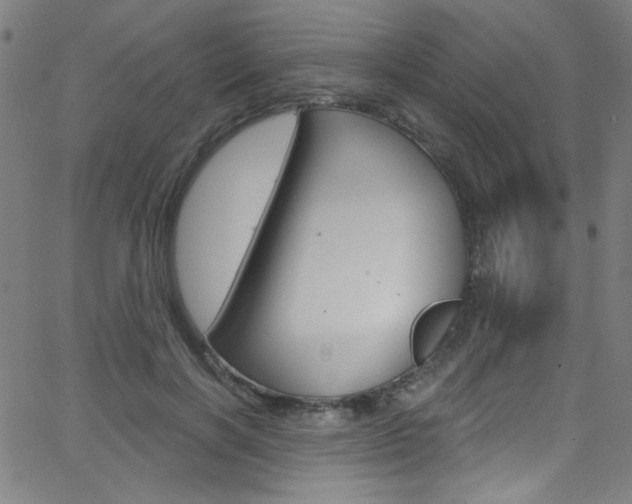 X0000068770646200604281019