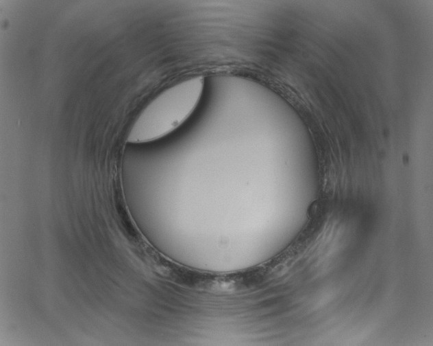 X0000068770647200604281019