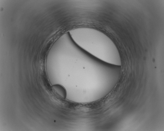 X0000068770648200604281019