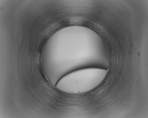 X0000068770649200604281019