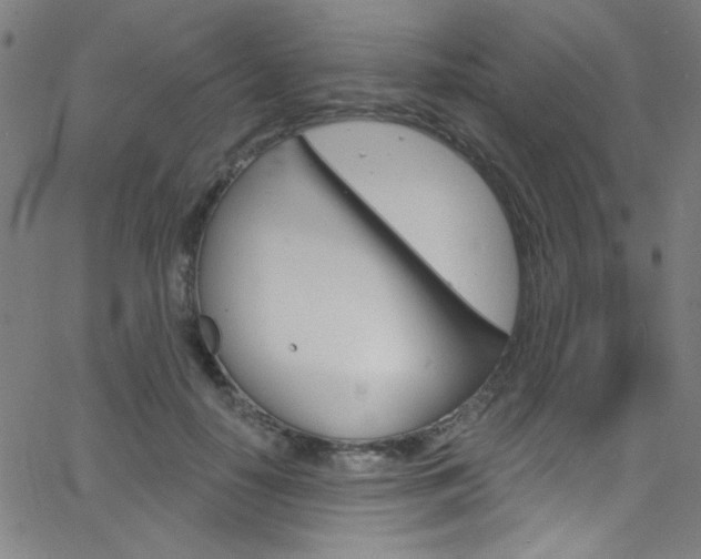 X0000068770650200604281019