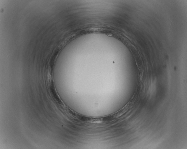 X0000068770651200604281019