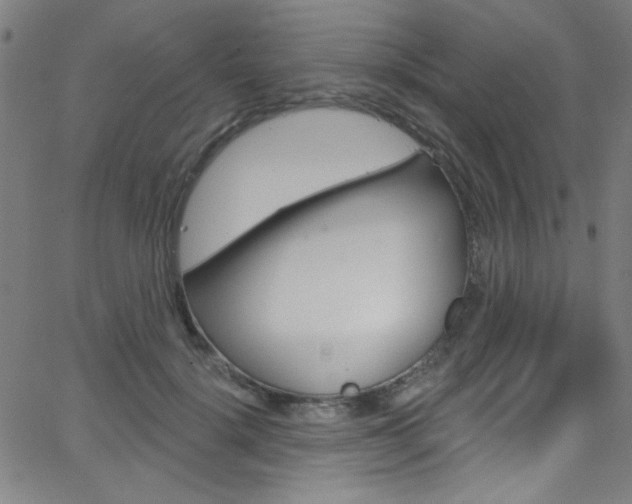 X0000068770652200604281019