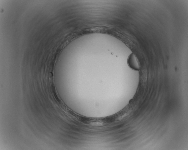 X0000068770653200604281019