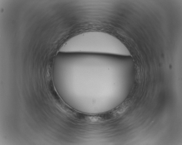 X0000068770654200604281019