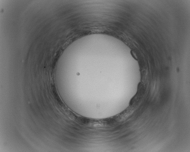 X0000068770655200604281019