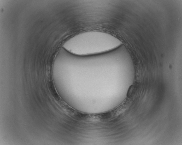 X0000068770656200604281019