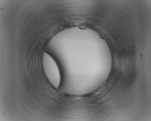 X0000068770657200604281019