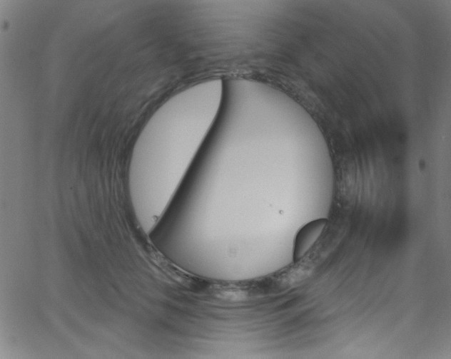 X0000068770658200604281019